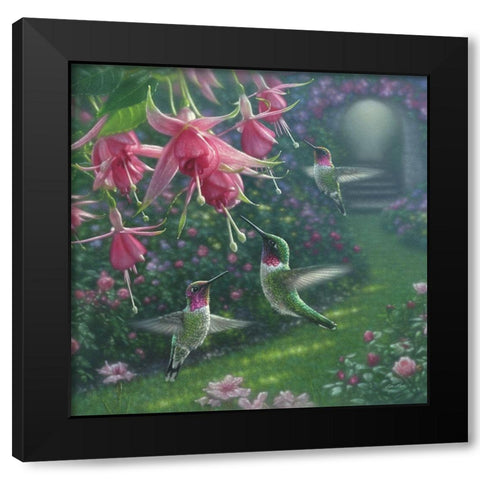 Hummingbird Haven - Square Black Modern Wood Framed Art Print with Double Matting by Bogle, Collin
