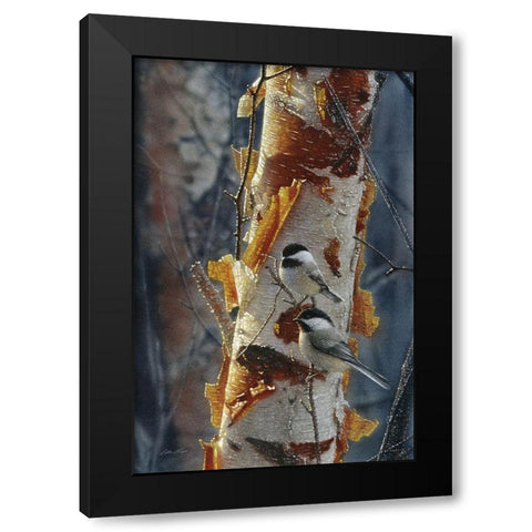 Black-Capped Chickadees - Sunlit Birch II Black Modern Wood Framed Art Print with Double Matting by Bogle, Collin