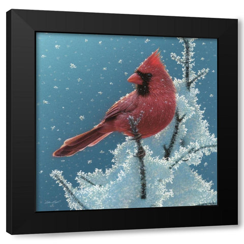 Cardinal - Cherry on Top Black Modern Wood Framed Art Print with Double Matting by Bogle, Collin