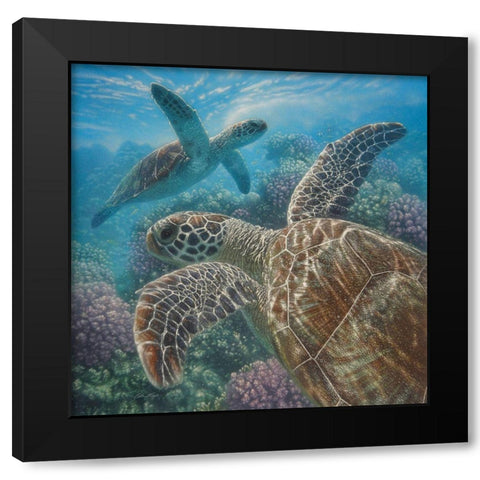 Sea Turtles - Turtle Bay - Square Black Modern Wood Framed Art Print with Double Matting by Bogle, Collin