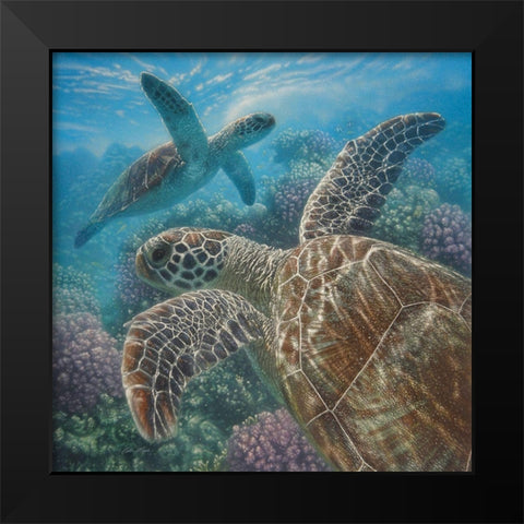 Sea Turtles - Turtle Bay - Square Black Modern Wood Framed Art Print by Bogle, Collin