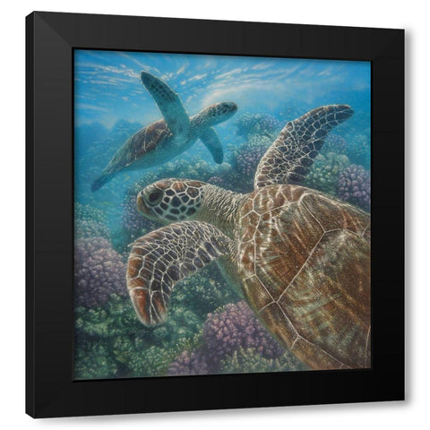 Sea Turtles - Turtle Bay Black Modern Wood Framed Art Print by Bogle, Collin