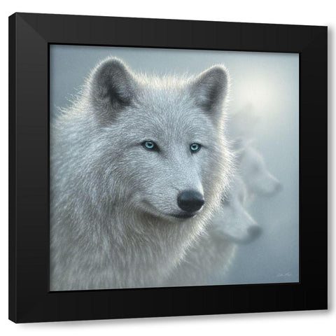 Arctic Wolves - Whiteout Black Modern Wood Framed Art Print with Double Matting by Bogle, Collin