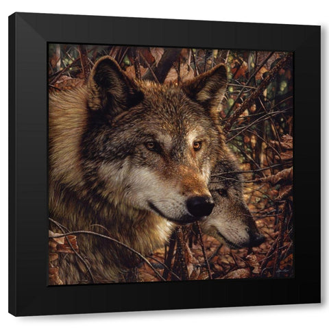 Autumn Wolves Black Modern Wood Framed Art Print with Double Matting by Bogle, Collin