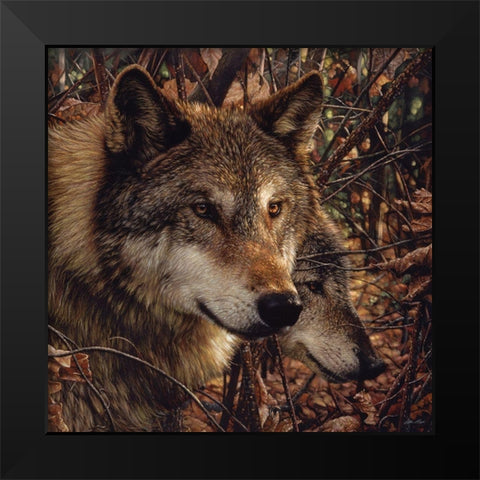 Autumn Wolves Black Modern Wood Framed Art Print by Bogle, Collin