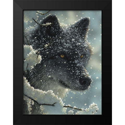 Black Wolf - Black in White Black Modern Wood Framed Art Print by Bogle, Collin