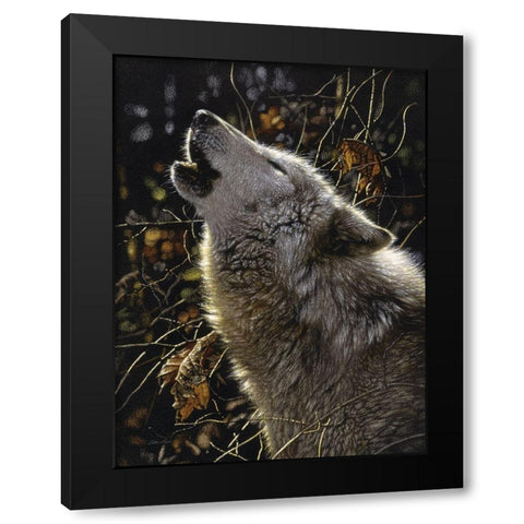 Howling Wolf - Songs of Autumn Black Modern Wood Framed Art Print by Bogle, Collin