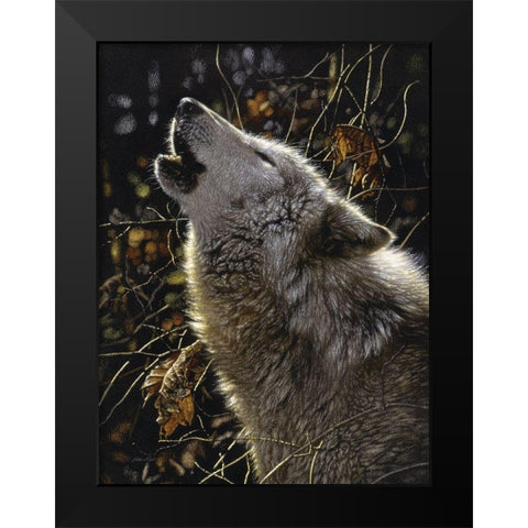 Howling Wolf - Songs of Autumn Black Modern Wood Framed Art Print by Bogle, Collin