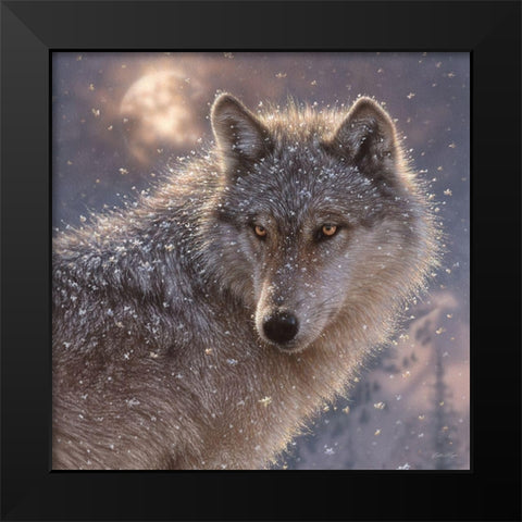 Lone Wolf - Square Black Modern Wood Framed Art Print by Bogle, Collin