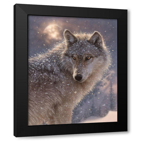 Lone Wolf Black Modern Wood Framed Art Print by Bogle, Collin