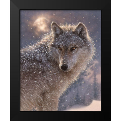 Lone Wolf Black Modern Wood Framed Art Print by Bogle, Collin