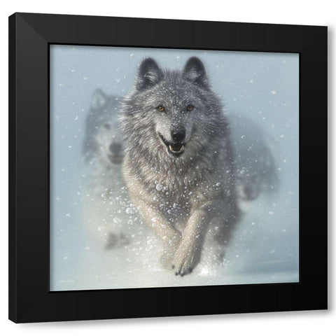 Running Wolves - Snow Plow - Square Black Modern Wood Framed Art Print with Double Matting by Bogle, Collin