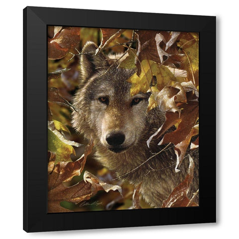 Wolf - Autumn Shadows Black Modern Wood Framed Art Print with Double Matting by Bogle, Collin