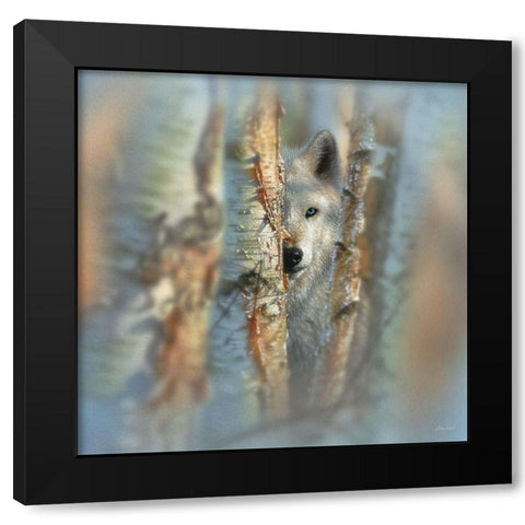 Wolf - Focused Black Modern Wood Framed Art Print by Bogle, Collin