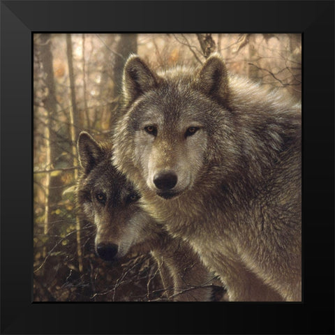 Wolves - Woodland Companions Black Modern Wood Framed Art Print by Bogle, Collin