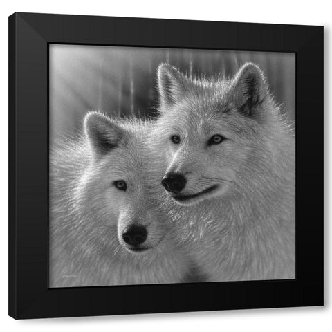 Wolves - Sunlit Soulmates - BandW Black Modern Wood Framed Art Print by Bogle, Collin