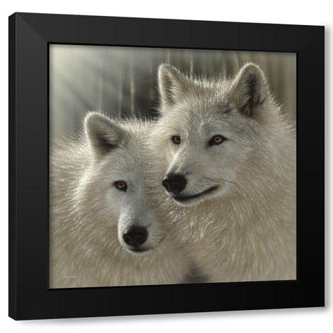 Wolves - Sunlit Soulmates Black Modern Wood Framed Art Print by Bogle, Collin