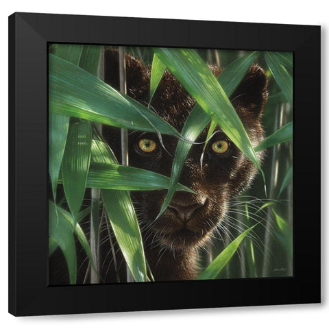 Black Panther - Wild Eyes Black Modern Wood Framed Art Print by Bogle, Collin