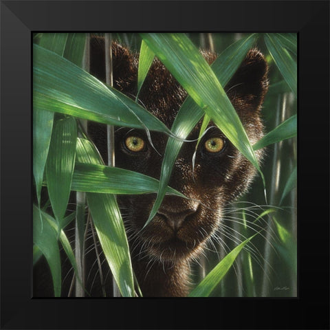 Black Panther - Wild Eyes Black Modern Wood Framed Art Print by Bogle, Collin