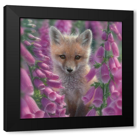 Red Fox - Foxgloves - Square Black Modern Wood Framed Art Print by Bogle, Collin