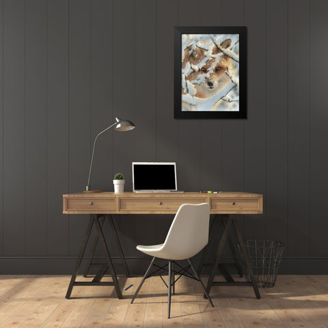 Red Fox - Hide and Seek Black Modern Wood Framed Art Print by Bogle, Collin