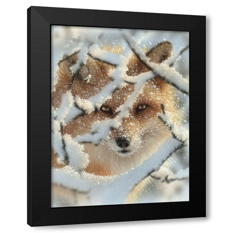 Red Fox - Hide and Seek Black Modern Wood Framed Art Print by Bogle, Collin