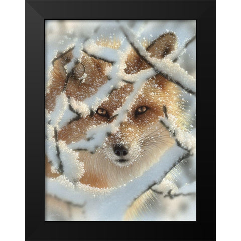 Red Fox - Hide and Seek Black Modern Wood Framed Art Print by Bogle, Collin