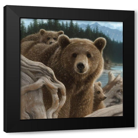 Brown Bears - Backpacking - Square Black Modern Wood Framed Art Print by Bogle, Collin