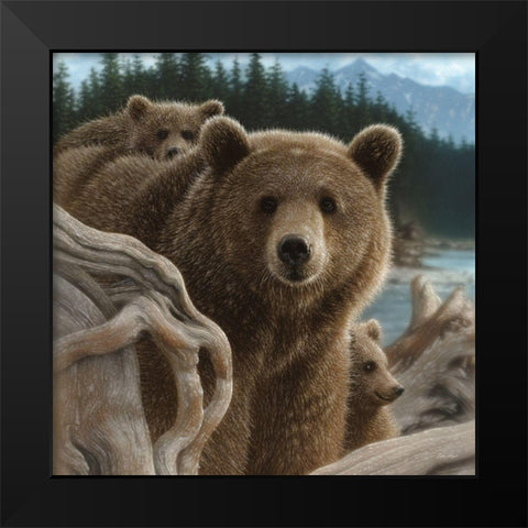 Brown Bears - Backpacking - Square Black Modern Wood Framed Art Print by Bogle, Collin