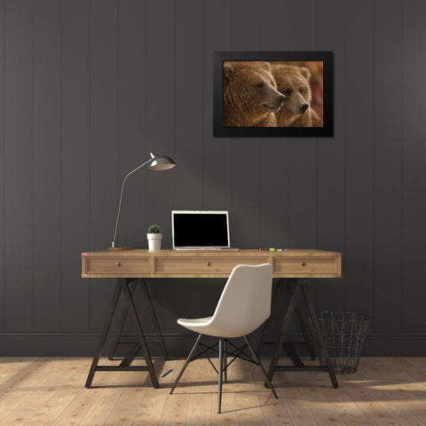 Brown Bears - Lazy Daze Black Modern Wood Framed Art Print by Bogle, Collin