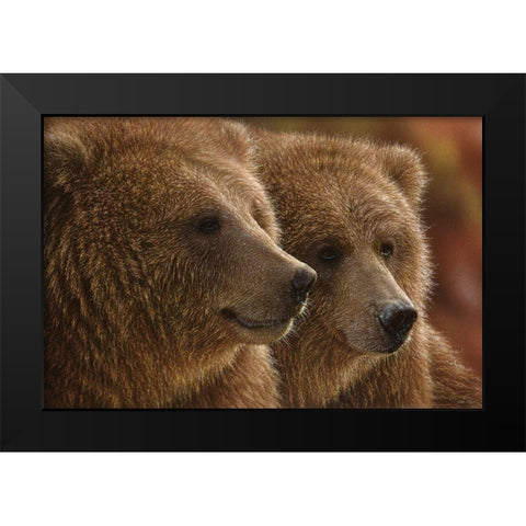 Brown Bears - Lazy Daze Black Modern Wood Framed Art Print by Bogle, Collin