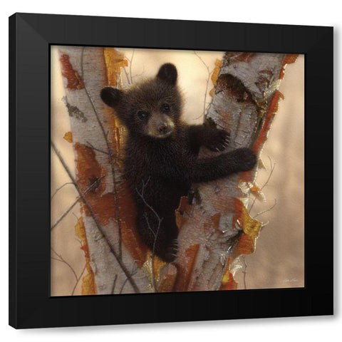 Curious Cub I Black Modern Wood Framed Art Print with Double Matting by Bogle, Collin