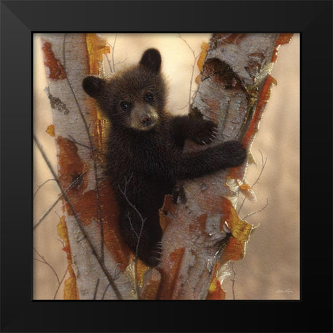 Curious Cub I Black Modern Wood Framed Art Print by Bogle, Collin
