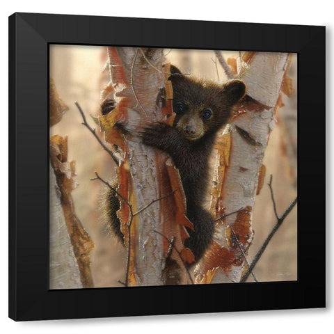 Curious Cub II Black Modern Wood Framed Art Print by Bogle, Collin