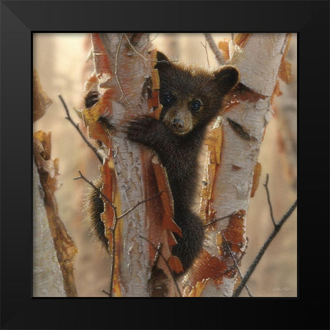 Curious Cub II Black Modern Wood Framed Art Print by Bogle, Collin