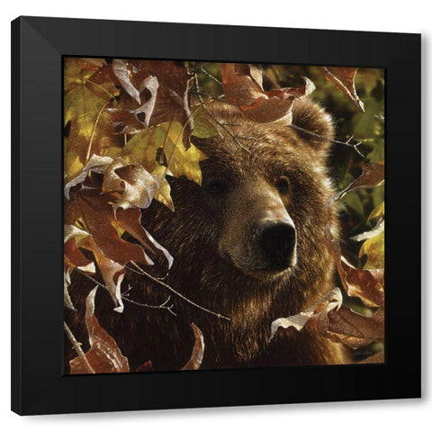 Legend of the Fall Black Modern Wood Framed Art Print by Bogle, Collin