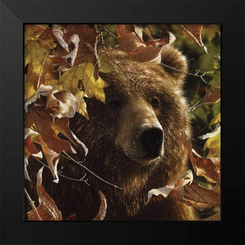 Legend of the Fall Black Modern Wood Framed Art Print by Bogle, Collin
