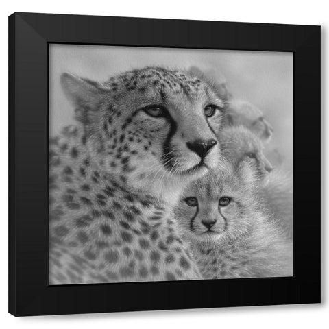 Cheetah Mother and Cubs - Mothers Love - Square - BandW Black Modern Wood Framed Art Print by Bogle, Collin