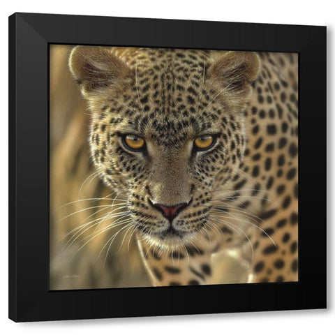 Leopard - On the Prowl - Square Black Modern Wood Framed Art Print by Bogle, Collin