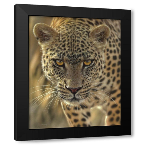 Leopard - On the Prowl Black Modern Wood Framed Art Print by Bogle, Collin