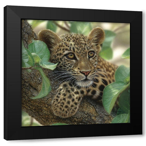 Leopard Cub - Tree Hugger Black Modern Wood Framed Art Print by Bogle, Collin