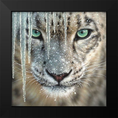 Snow Leopard - Blue Ice Black Modern Wood Framed Art Print by Bogle, Collin