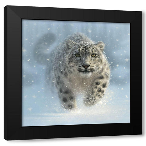 Snow Leopard - Snow Ghost Black Modern Wood Framed Art Print with Double Matting by Bogle, Collin