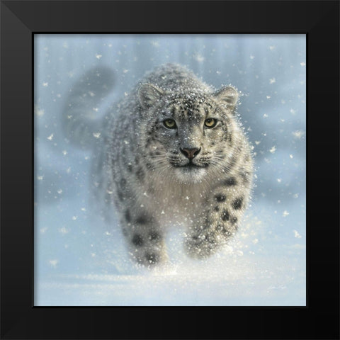 Snow Leopard - Snow Ghost Black Modern Wood Framed Art Print by Bogle, Collin