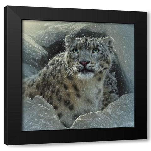 Snow Leopard - The Fortress Black Modern Wood Framed Art Print with Double Matting by Bogle, Collin