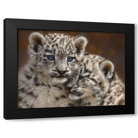 Snow Leopard Cubs - Playmates - Horizontal Black Modern Wood Framed Art Print by Bogle, Collin