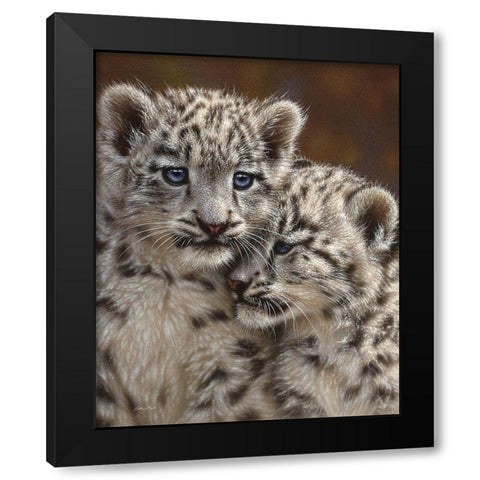 Snow Leopard Cubs - Playmates Black Modern Wood Framed Art Print with Double Matting by Bogle, Collin