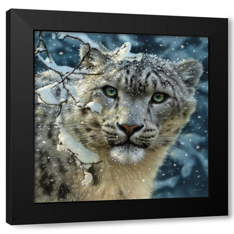 Snow Leopard Black Modern Wood Framed Art Print by Bogle, Collin