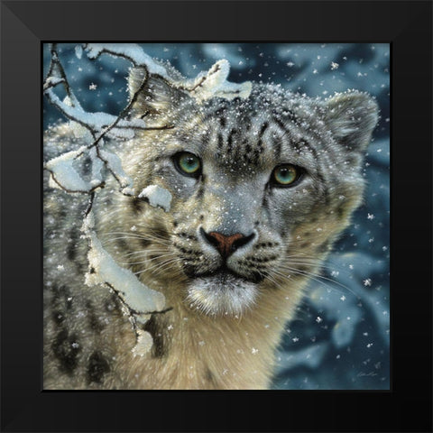 Snow Leopard Black Modern Wood Framed Art Print by Bogle, Collin