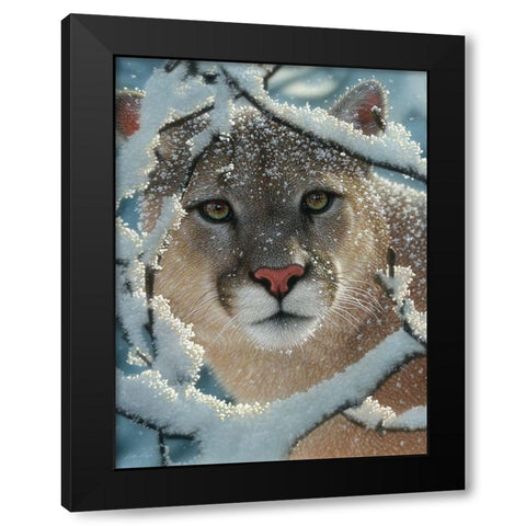 Cougar - Silent Encounter Black Modern Wood Framed Art Print by Bogle, Collin
